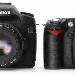 Canon and Nikon DSLR
