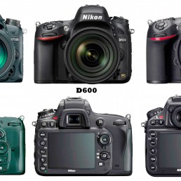Nikon D7000, D600, D800 Visual Comparison : Front and Rear View