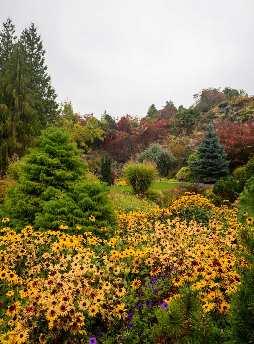 Queen Elizabeth Park, Vancouver, BC : 2012-10-11 : Fall Colours