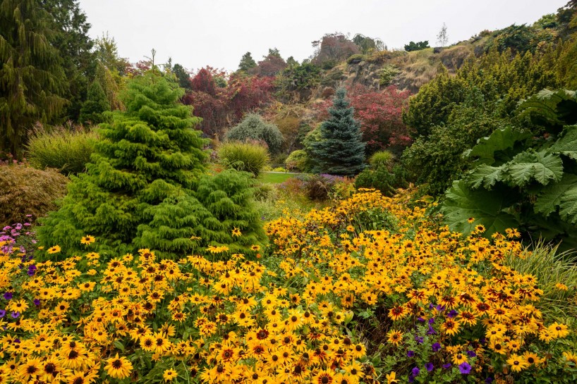 Queen Elizabeth Park, Vancouver, BC : 2012-10-11 : Fall Colours