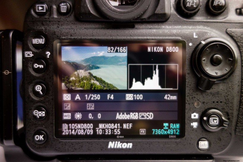 Expert Shield vs GGS Screen Protector : GGS on Nikon D800 Back