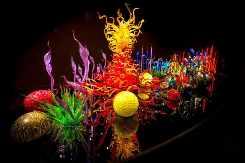 Dale Chihuly Glass Art : 2013-01-05 : Display 2