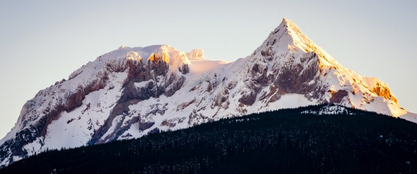 Squamish Bald Eagles : 2016-01-02 : Nikon D810 & Nikkor 200-500 : Mount Garibaldi Sunrise