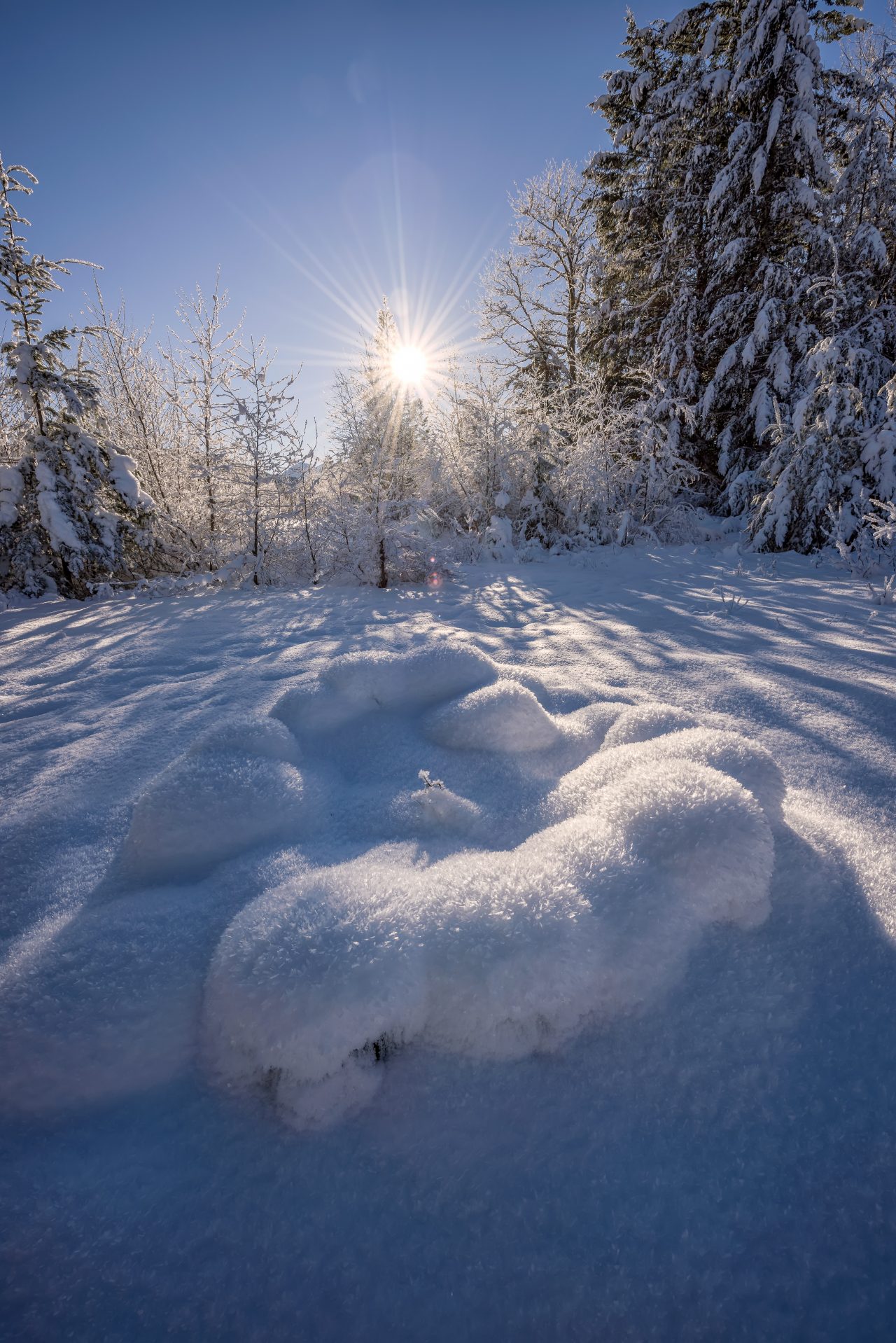 Squamish Bald Eagles : 2016-01-02 : Nikon D810 & Nikkor 14-24 : Frozen Landscape